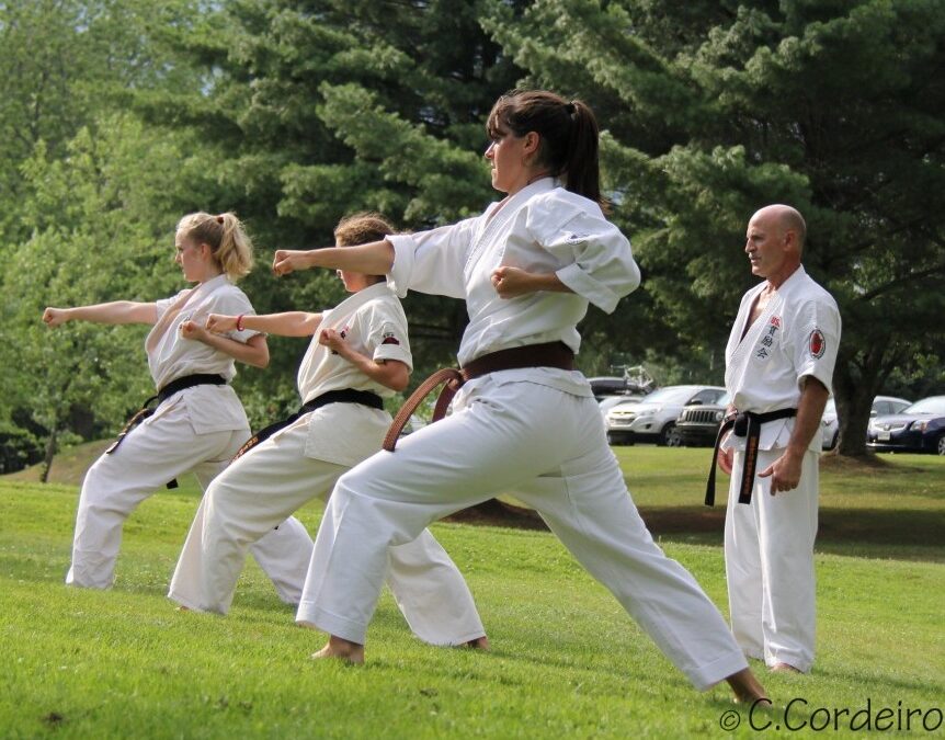 Our World Kanreikai karate Summer Camp is back!